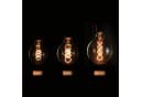 ZMH LED-Leuchtmittel LED Edison Glühlampe G125 Retro Warmweiß E27 Bild 1