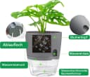 Refined Living Kräutertopf mit Selbstbewässerung, 3er Set Grau Bild 3