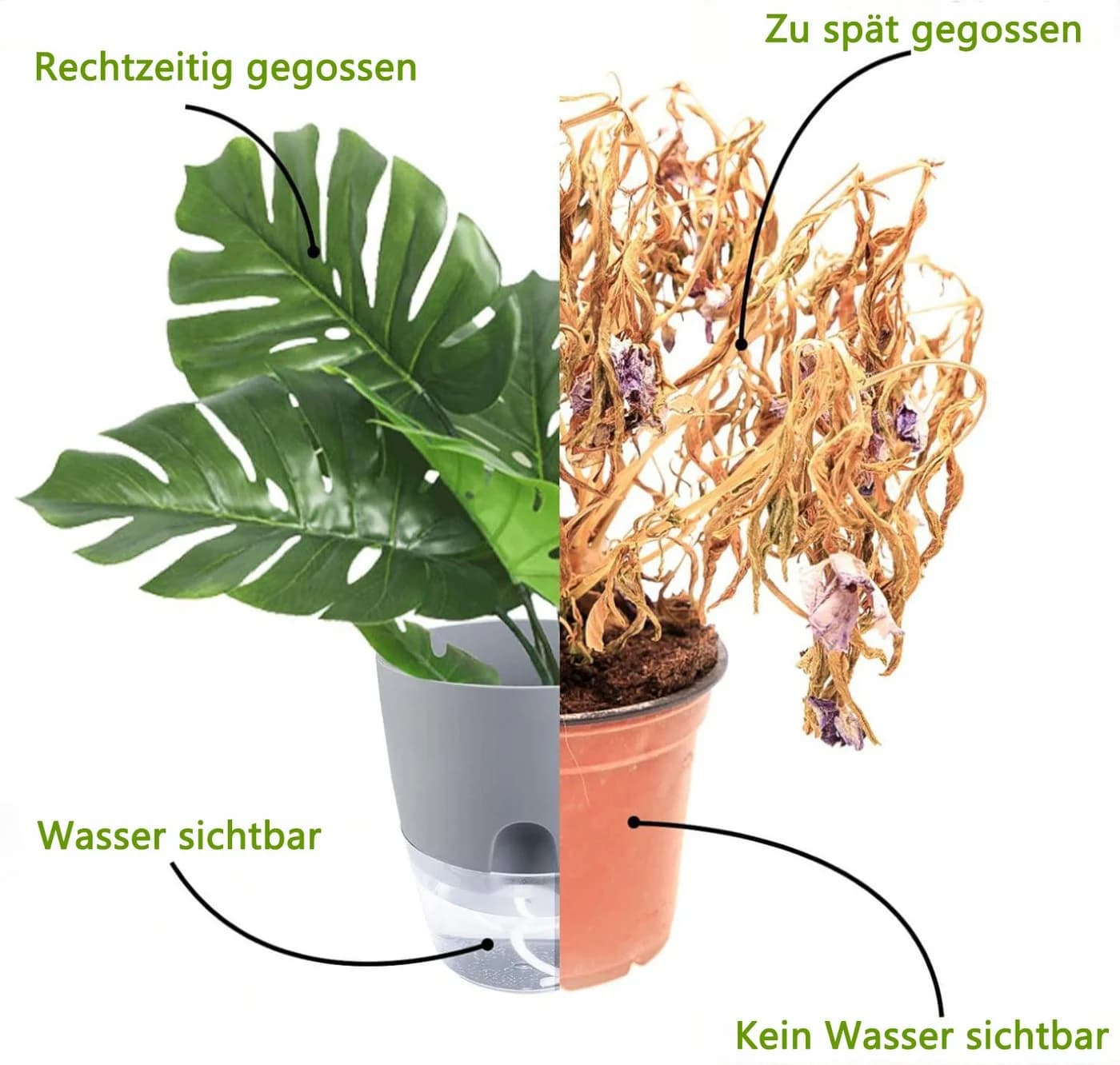 Refined Living Kräutertopf mit Selbstbewässerung, 3er Set Grau - Bild 5