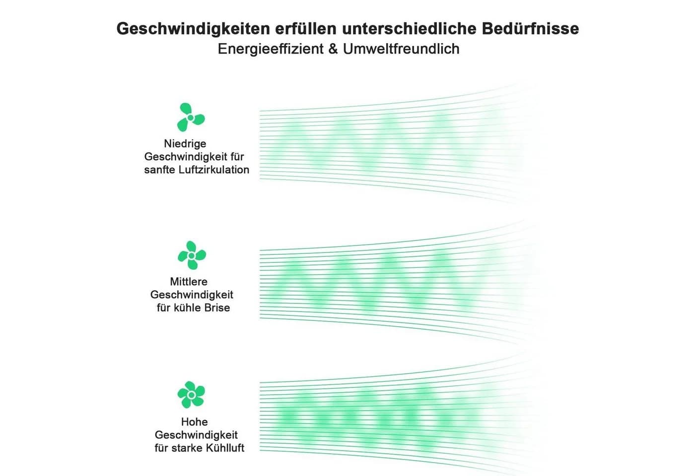 none - Bild 5