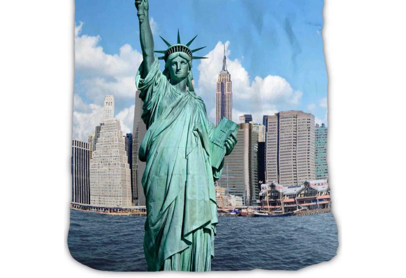ESPiCO Bettwäsche New York Renforcé 2-teilig Digitaldruck Freiheitsstatue USA - Bild 3