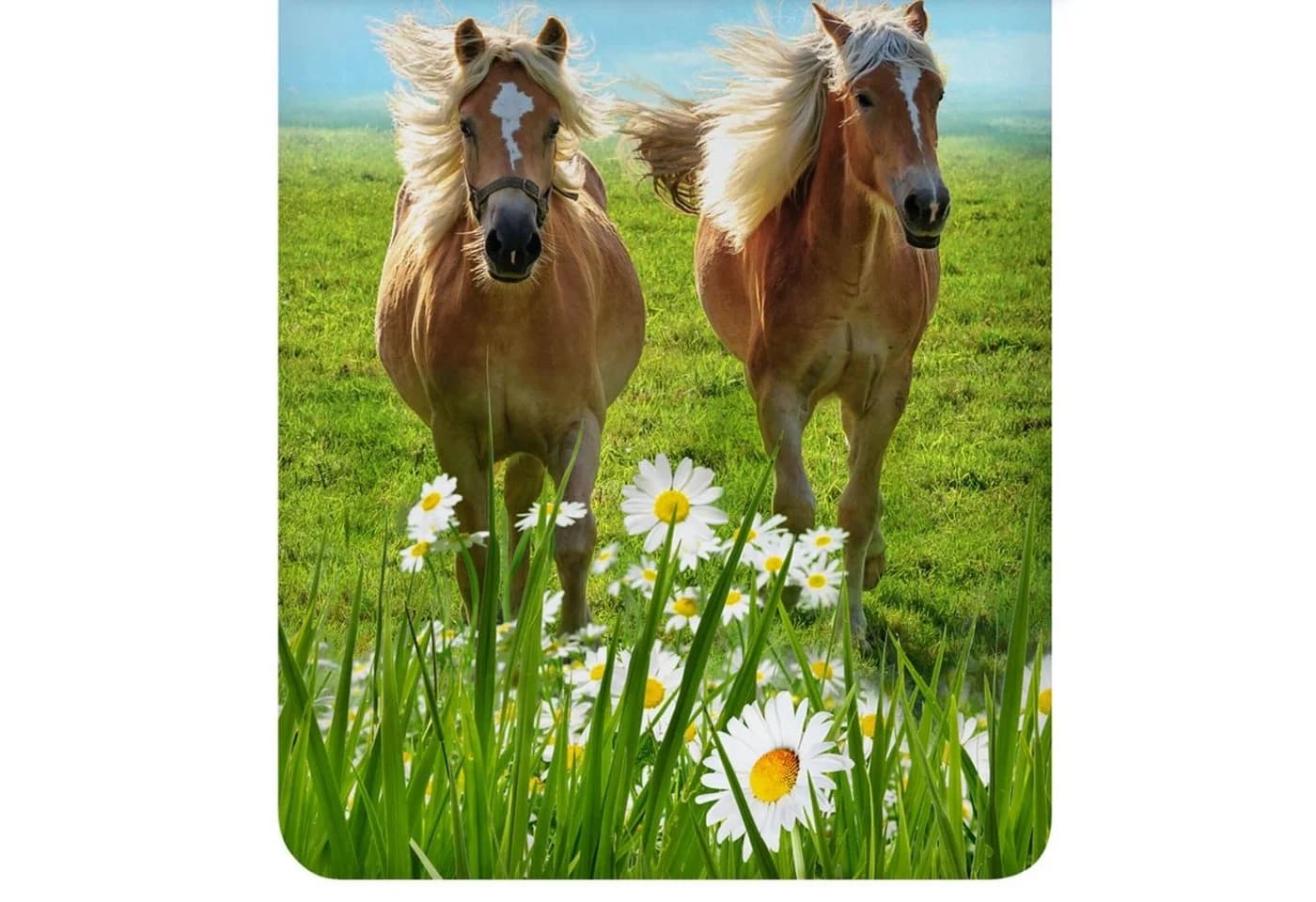 ESPiCO Kinderbettwäsche Pferde Trendy Bedding Renforcé 2-teilig Tiermotiv Haflinger - Bild 3