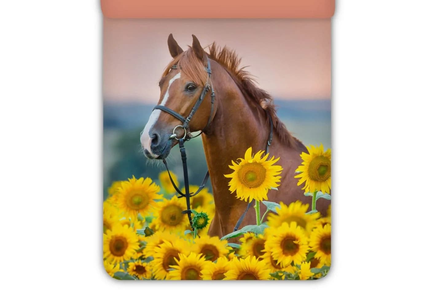 ESPiCO Kinderbettwäsche Pferd Sonnenblumen 2-teilig - Bild 3