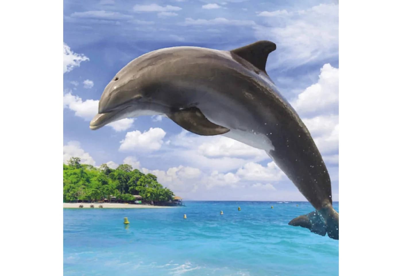 ESPiCO Bettwäsche Delfin Insel Renforcé 2-teilig Blau - Bild 4