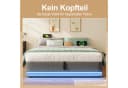 TavilaEcon Boxspringbett Polsterbett Beige/Grau LED USB Typ-C Bild 5