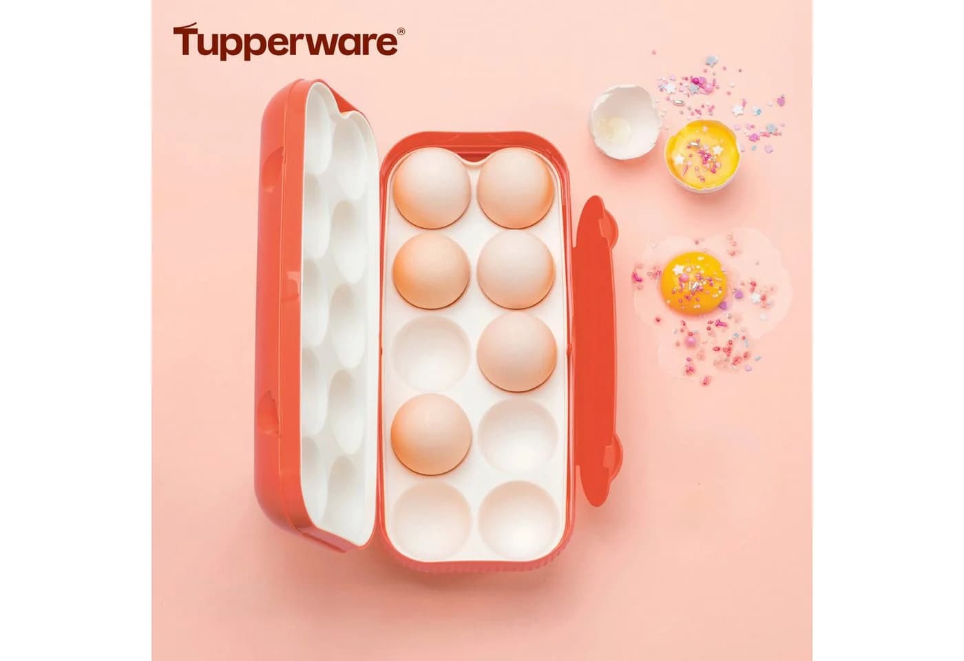 TUPPERWARE Frischhaltedose Eierbox Kolumbus Kunststoff