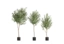 FIVMEN Kunstbaum Ficus Olive Grün 150 cm Bild 2