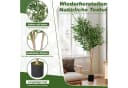 FIVMEN Kunstbaum Ficus Olive Grün 150 cm Bild 3
