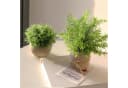 Refined Living Künstliche Eukalyptus Pflanze 4-tlg. Grau/Grün Kunststoff Bild 1