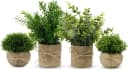 Refined Living Künstliche Eukalyptus Pflanze 4-tlg. Grau/Grün Kunststoff Bild 2