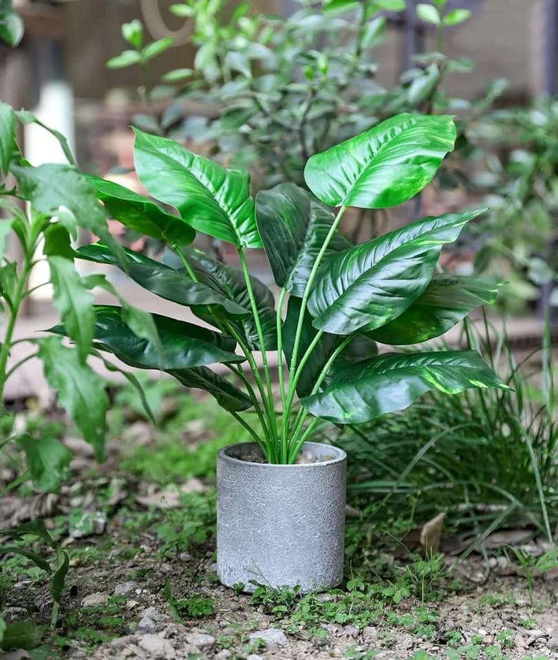 SURFOU 2er-Set Kunstpflanzen Syngonium & Philodendron 40 cm Grün - Bild 5