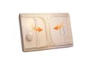 SURFOU Laptoptisch Betttisch Klappbar Bild 5