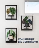 SURFOU Wanddekoobjekt 3er Set Bilderrahmen Metall Pflanzenhalter Bild 3
