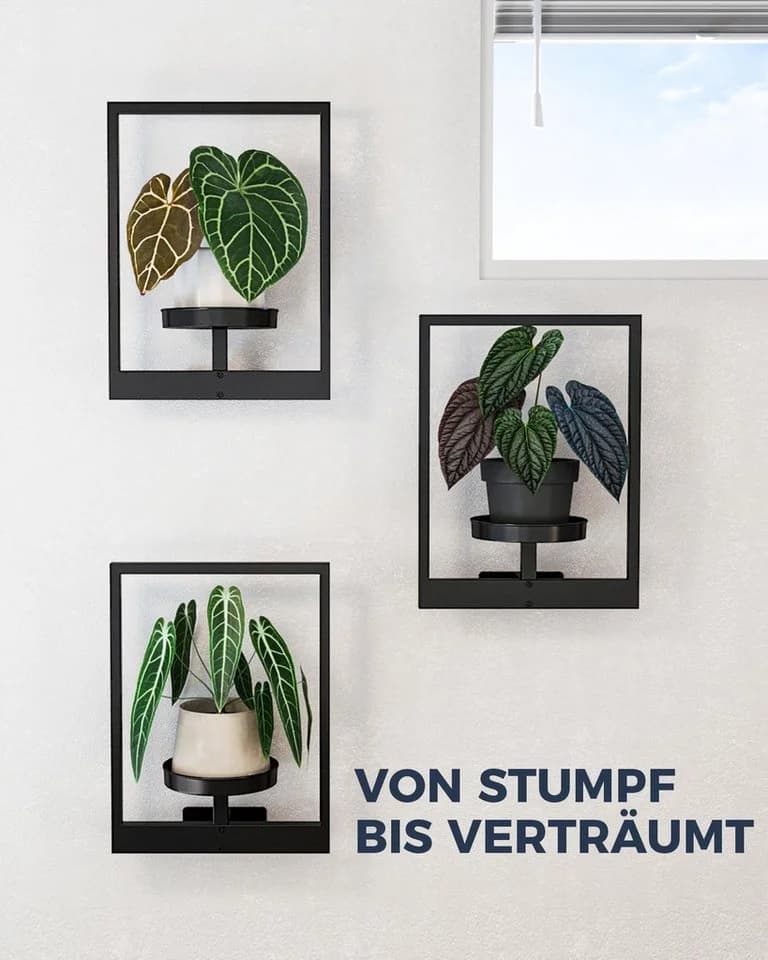 SURFOU Wanddekoobjekt 3er Set Bilderrahmen Metall Pflanzenhalter - Bild 3