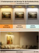 OUTON LED-Bilderleuchte 2er-Set Gold 270° verstellbar & Akku Bild 3