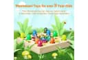 POPOLIC Magnetische Angelspiel 2 in 1 Montessori Spielzeug Bunt Holzspielzeug Bild 5