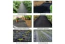 Dripex Unkrautvlies 90g/m² Wasserdurchlässig 1m x 10m Bild 5