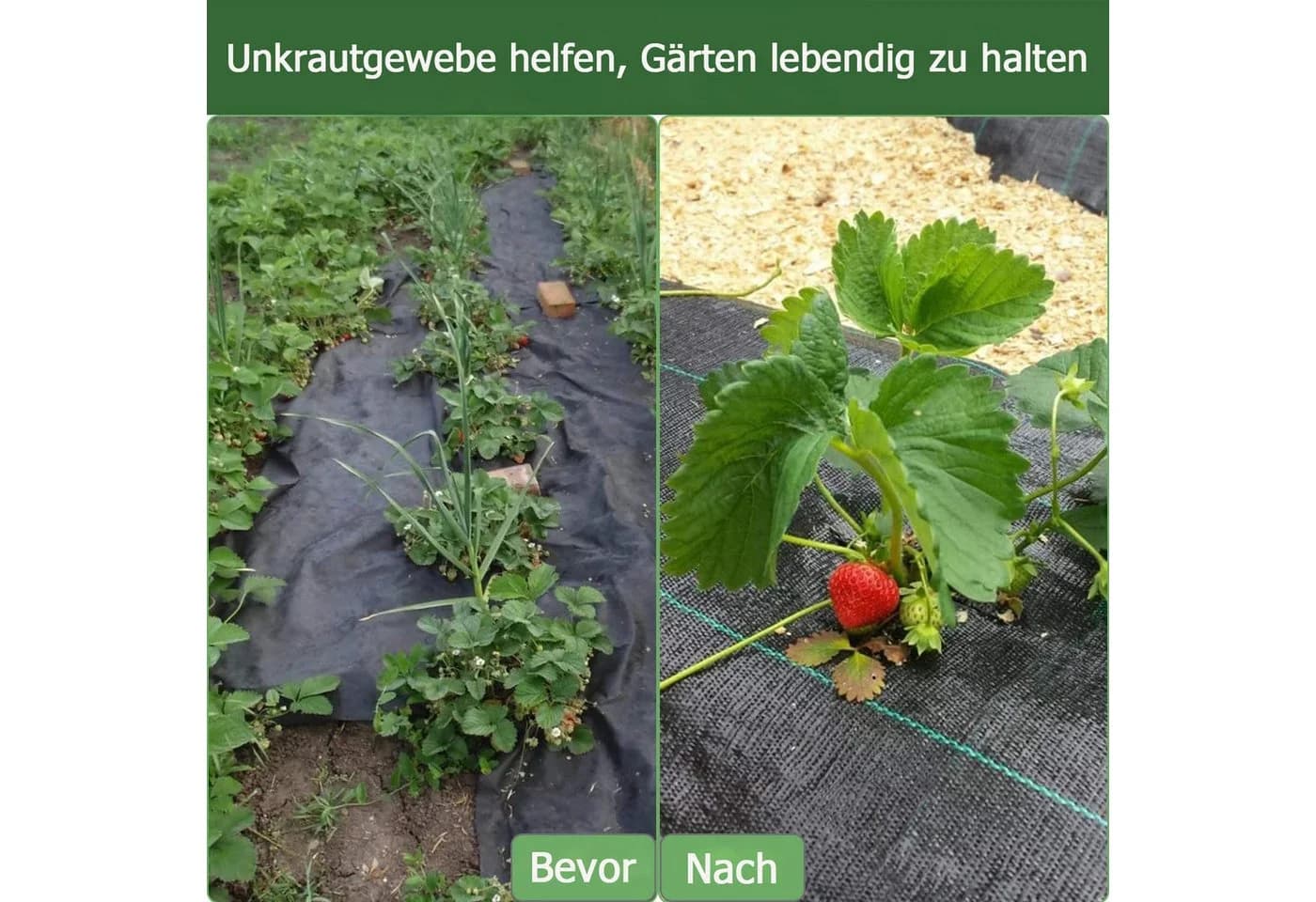 YOLEO Unkrautvlies Gartenvlies 10m² Schwarz Wasserdurchlässig - Bild 5