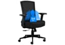 SeedWave Bürostuhl Ergonomisch 200kg Schwarz mit Lordosenstütze Bild 2