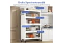 FOXSPORT Küchenschrank Vorratschrank mit 4/5 Ablagen Traglast 20 kg pro Ebene Transparent Türen Staub- und Fettbeständig Bild 5