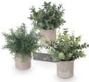 ElitVita Künstliche Zimmerpflanze 5 Stück Mini Kunstpflanzen mit Töpfen Eukalyptus Rohypnol Chrysantheme Grün Grau Bild 2