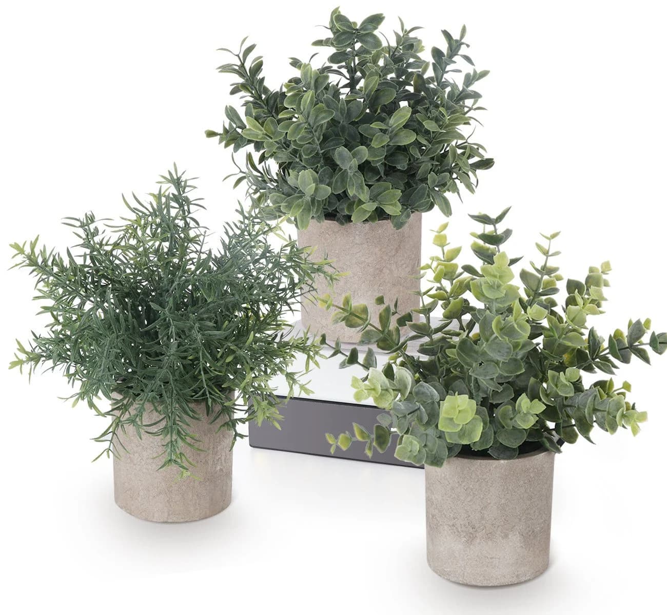 ElitVita Künstliche Zimmerpflanze 5 Stück Mini Kunstpflanzen mit Töpfen Eukalyptus Rohypnol Chrysantheme Grün Grau - Bild 2
