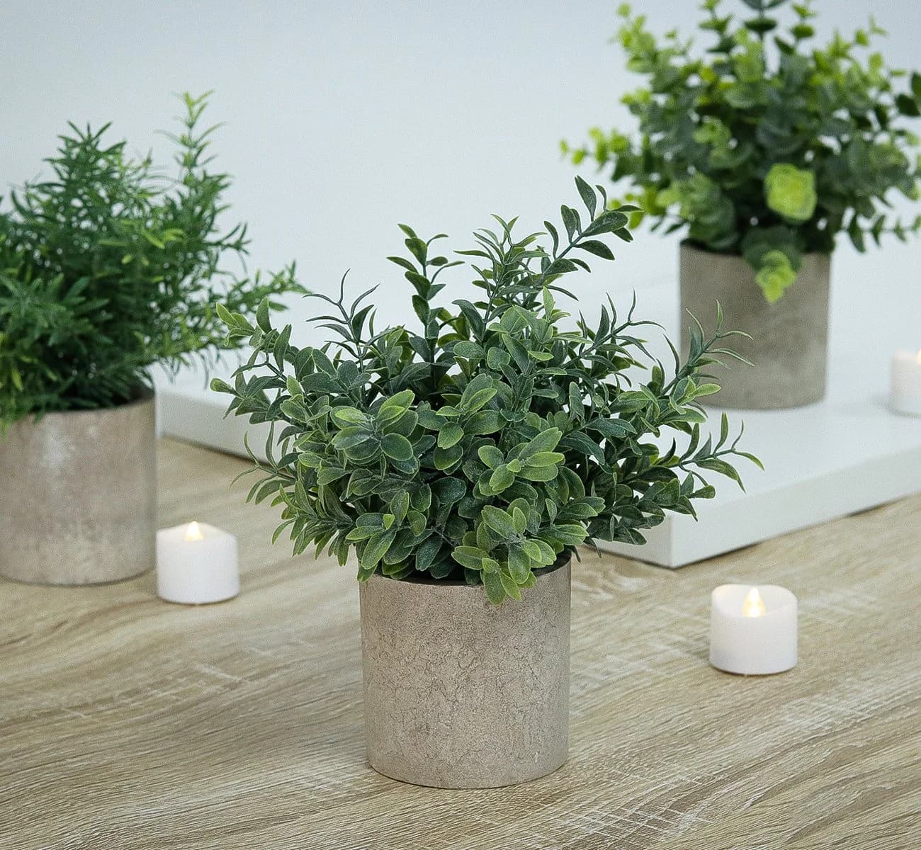 ElitVita Künstliche Zimmerpflanze 5 Stück Mini Kunstpflanzen mit Töpfen Eukalyptus Rohypnol Chrysantheme Grün Grau - Bild 3