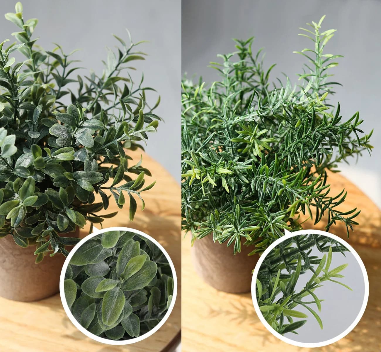 ElitVita Künstliche Zimmerpflanze 5 Stück Mini Kunstpflanzen mit Töpfen Eukalyptus Rohypnol Chrysantheme Grün Grau - Bild 4
