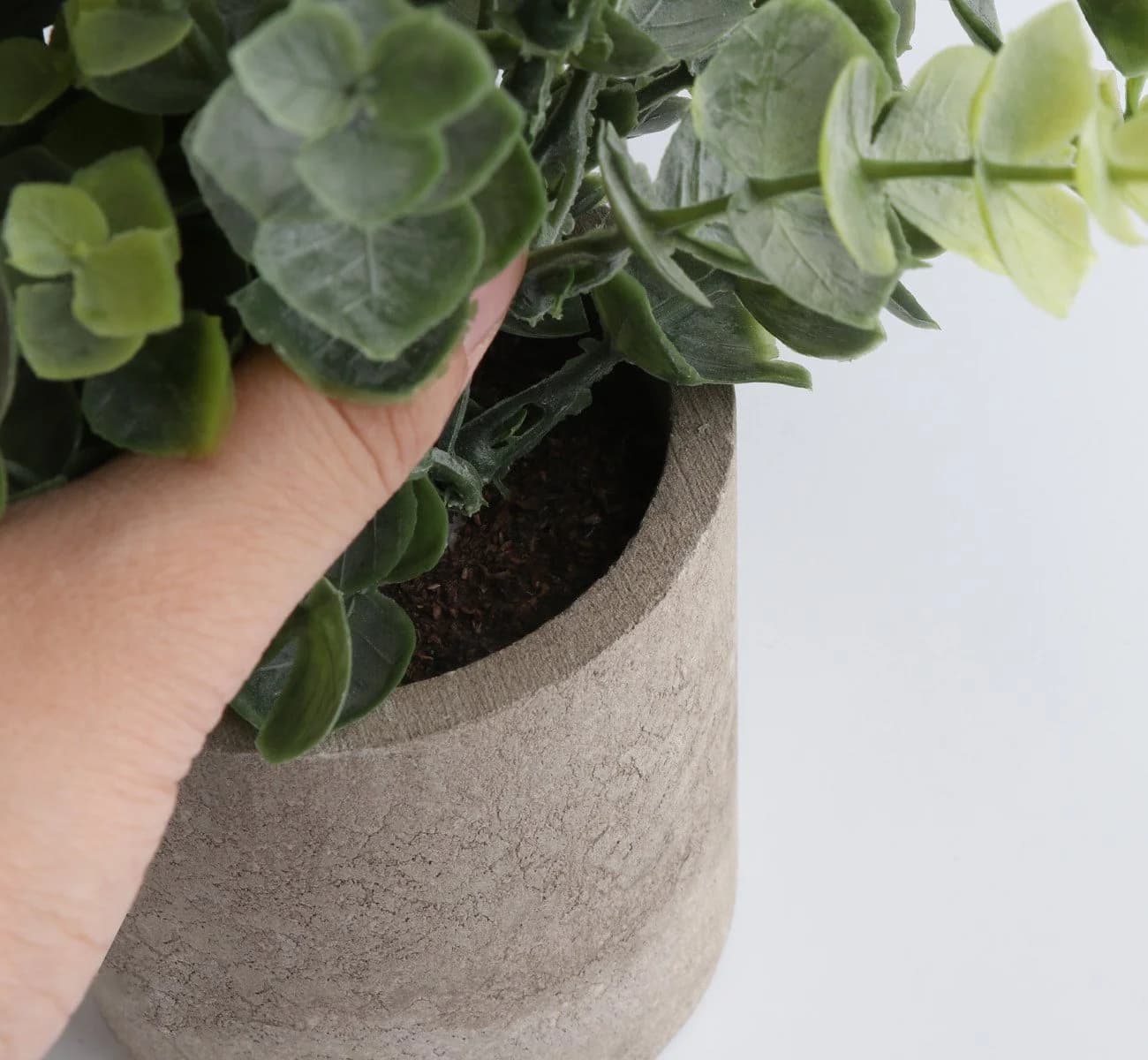 ElitVita Künstliche Zimmerpflanze 5 Stück Mini Kunstpflanzen mit Töpfen Eukalyptus Rohypnol Chrysantheme Grün Grau - Bild 5