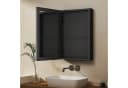 Hopibath Badezimmerspiegelschrank Schwarz 2-türig 80x60cm Bild 1