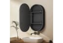 WDWRITTI Badezimmerspiegelschrank Oval LED Schwarz 40x13x70cm Bild 1