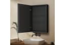 WDWRITTI Spiegelschrank Aluminium Schwarz mit Glasböden Bild 1