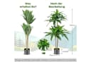 COSTWAY Künstliche Dracena 140 cm mit Topf 92 Blättern Bild 3