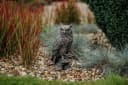 gartendekoparadies.de Gartenfigur Eule Uhu Steinfigur Grau Antik Bild 4