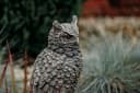 gartendekoparadies.de Gartenfigur Eule Uhu Steinfigur Grau Antik Bild 5