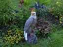 gartendekoparadies.de Gartenfigur Mächtiger Adler Steinfigur 50 cm 14 kg Mehrfarbig Bild 3