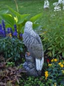 gartendekoparadies.de Gartenfigur Mächtiger Adler Steinfigur 50 cm 14 kg Mehrfarbig Bild 4