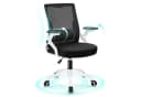 ALFORDSON Bürostuhl Ergonomisch Lendenwirbelstütze Schwarz/Weiß Bild 2
