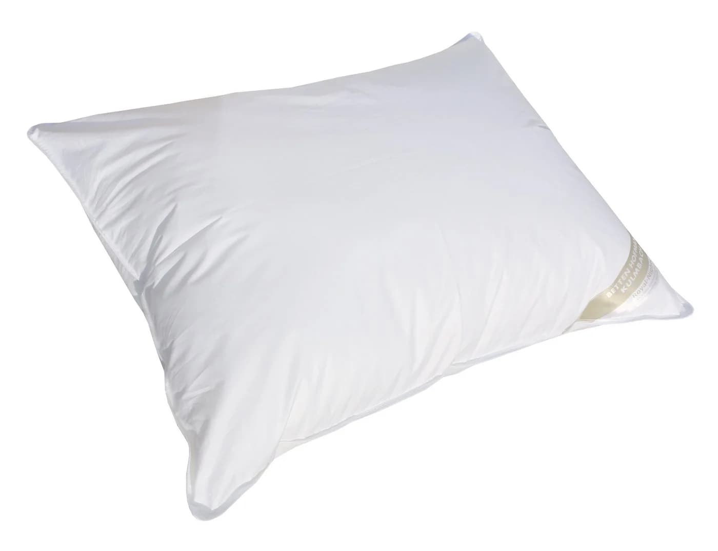 Betten Hofmann Basic Allergiker Kopfkissen 60x80 cm Baumwolle