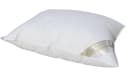 Betten Hofmann Basic Allergiker Kopfkissen 60x80 cm Baumwolle Bild 2