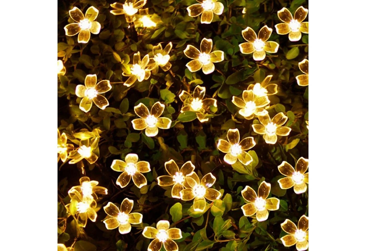 Salcar Solar-Lichterkette 5m mit 20 Kirschblüten-LEDs Warmweiß - Bild 2