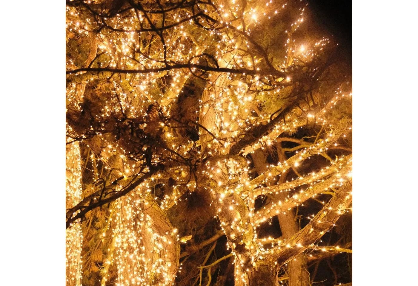 Salcar LED-Lichterkette Außen Spritzwassergeschützt Warmweiß 26m - Bild 4