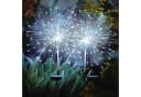 Salcar LED Solarleuchte Feuerwerk Gartenleuchte 8 Modi Kaltweiß Bild 2