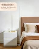 EDISHINE LED Stehlampe dimmbar warmweiß minimalistisch Bild 3