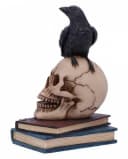 Horror-Shop Gothic Dekofigur Raven's Spell Rabe auf Totenkopf Polyresin Bild 3
