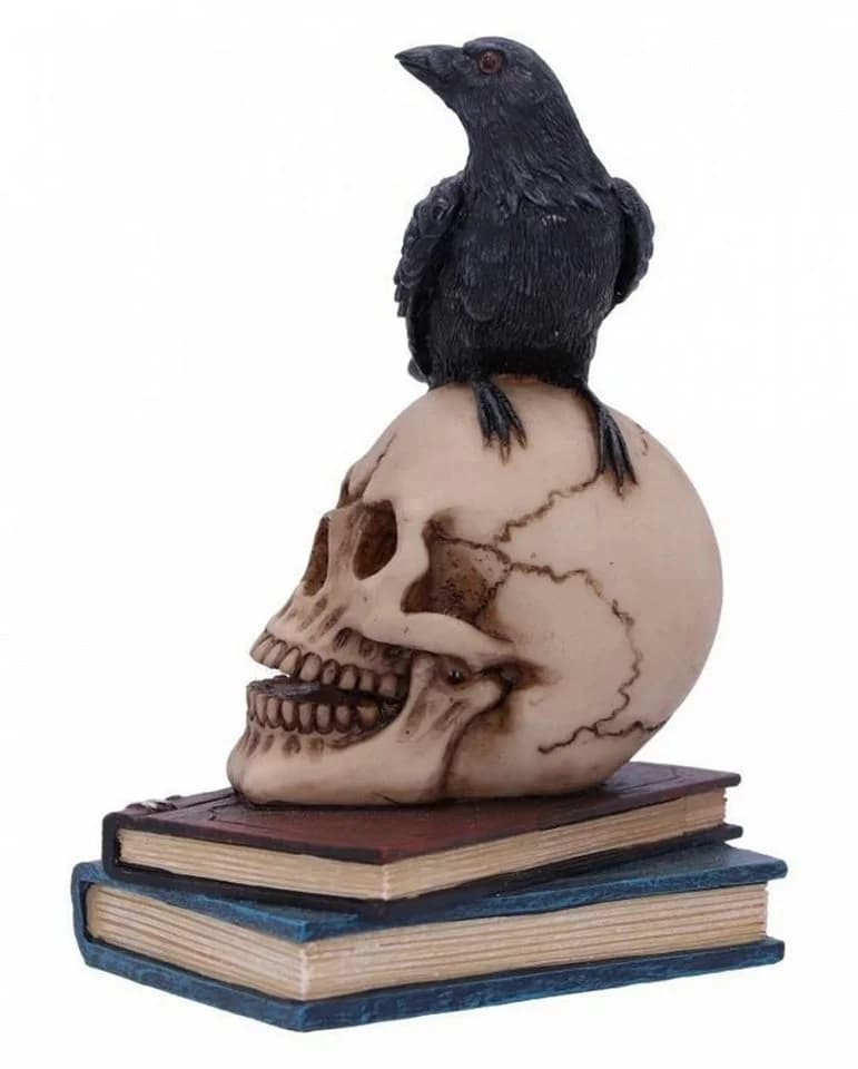 Horror-Shop Gothic Dekofigur Raven's Spell Rabe auf Totenkopf Polyresin - Bild 3