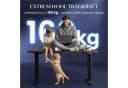 FLEXISPOT EC5 Schreibtisch Elektrisch Höheneinstellbar Grau 160kg Bild 5