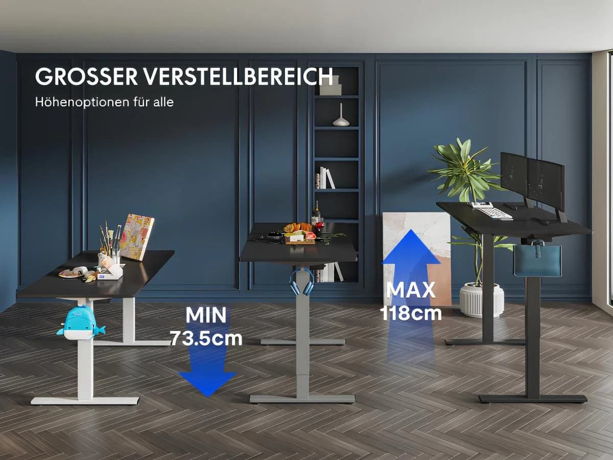 FLEXISPOT Elektrisch Höhenverstellbarer Schreibtisch Schwarz