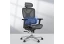 FLEXISPOT Bürostuhl ErgoX, Schreibtischstuhl Premium Ergonomischer 3D-Armlehnen 3D-Kopfstütze 5D-Rückenlehne 130kg Bild 2