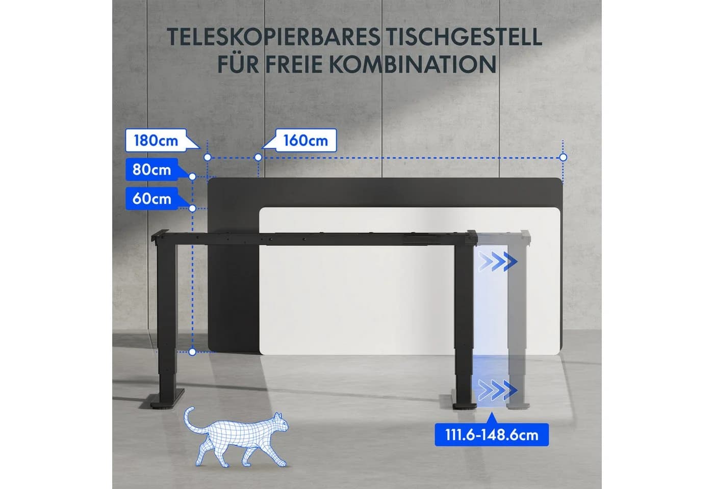 FLEXISPOT Schreibtisch EC5 Serie Dual-Motor 3-Fach-Teleskop 100kg - Bild 5